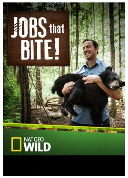 挑战动物苦差事