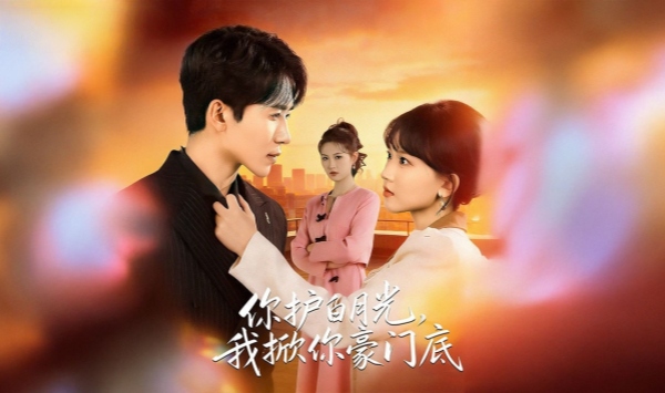 你护白月光，我掀你豪门底