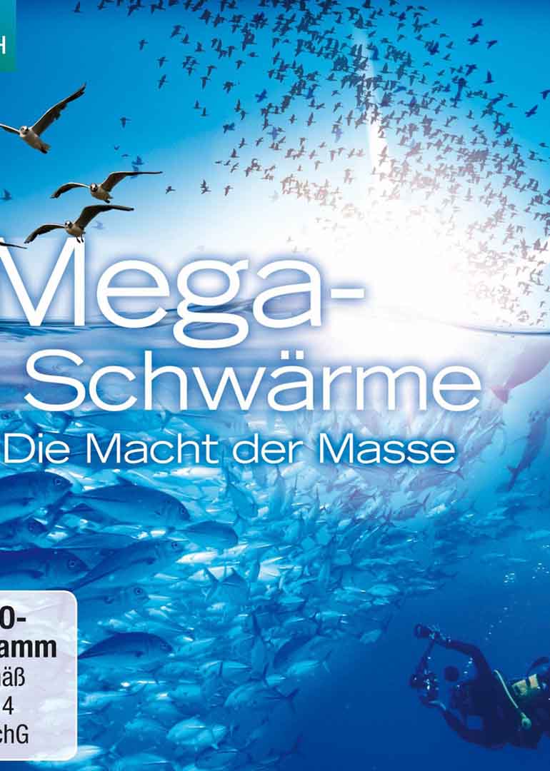 当超级动物群入侵