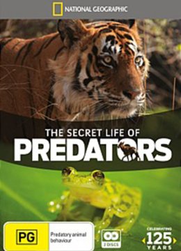 掠食者的神秘生活