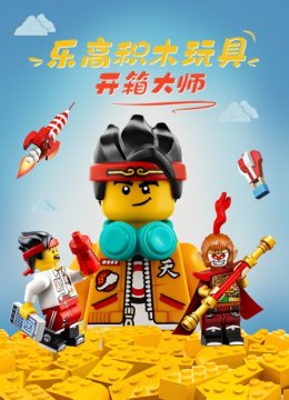 乐高积木玩具开箱大师