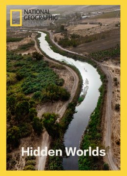 隐秘的世外桃源