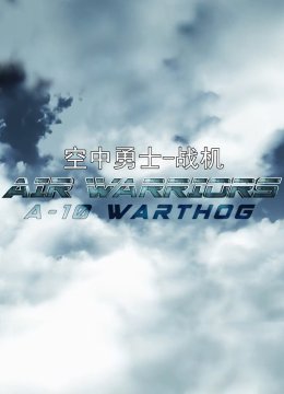 空中勇士战机第2季