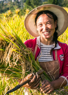 建设小康公益纪录片展播