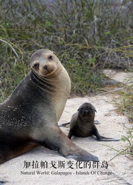 加拉帕戈斯变化的群岛