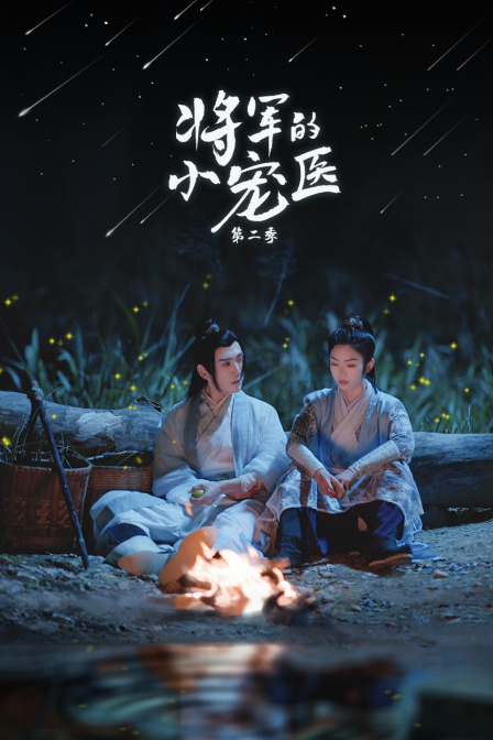 将军的小宠医第2季