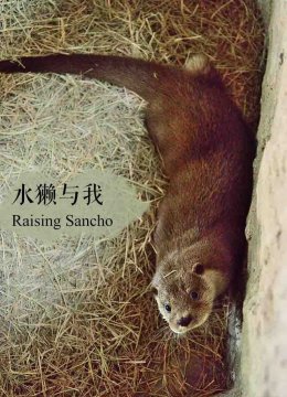 水獭与我