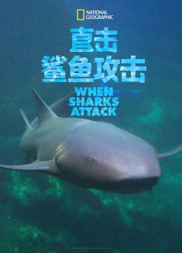 直击鲨鱼攻击第4季