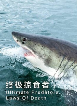 终极掠食者