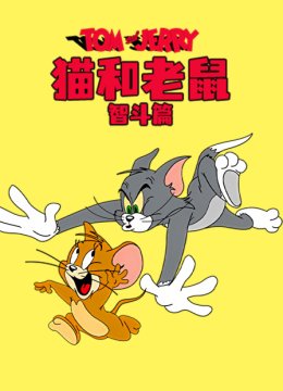 猫和老鼠智斗篇