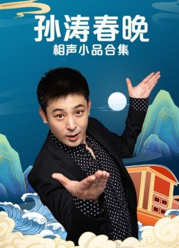 孙涛春晚相声小品合集