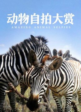 动物自拍大赏
