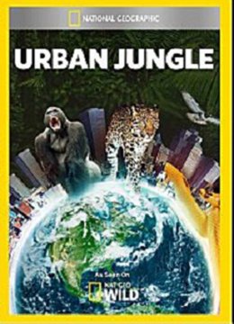 都市丛林生存法则