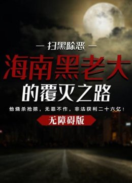 扫黑除恶海南黑老大的覆灭之路无障碍版