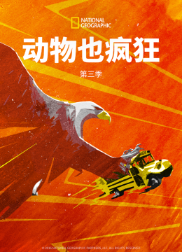 动物也疯狂第3季
