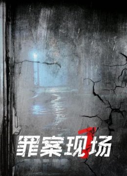 罪案现场第1季