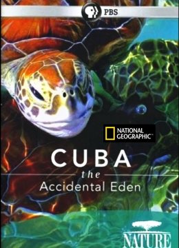 古巴意外的伊甸园