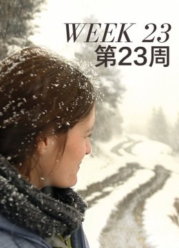 第23周
