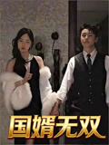 国婿无双