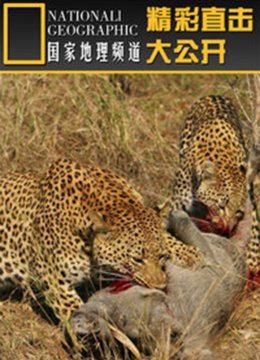 精彩直击大公开