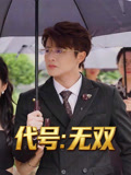 代号无双