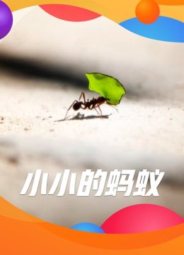 小小的蚂蚁