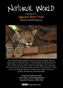 美洲豹生而自由