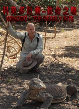科莫多巨蜥破坏血液凝结是精密的杀戮机器