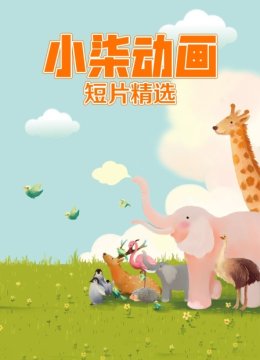 小柒动画短片精选
