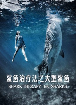 鲨鱼治疗法之大型鲨鱼