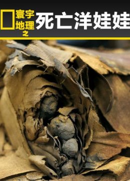 寰宇地理之死亡洋娃娃