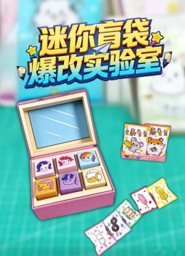 迷你盲袋爆改实验室