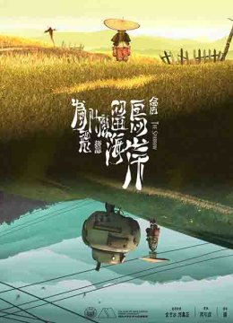 为什么留鸟会飞离海岸