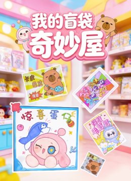我的盲袋奇妙屋
