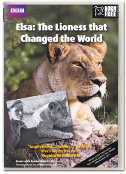 爱尔莎改变世界的母狮