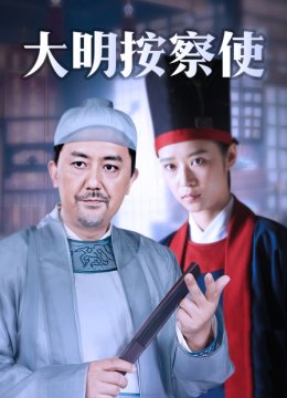 大明按察使DVD版
