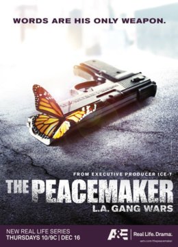和平使者洛杉矶黑帮之战