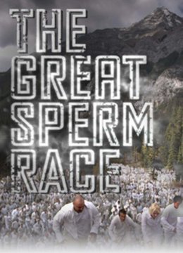 精子生命大赛跑