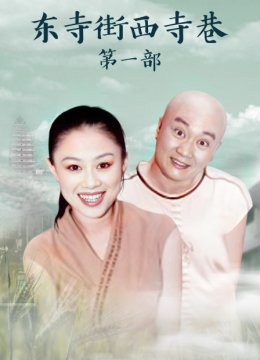 东寺街西寺巷第一部