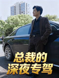总裁的深夜专驾