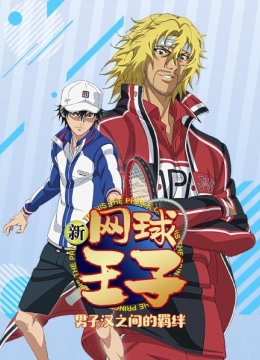 新网球王子男子汉之间的羁绊