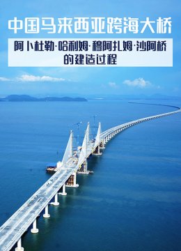大陆马来西亚跨海大桥阿卜杜勒哈利姆穆阿扎姆沙阿桥的建造过程