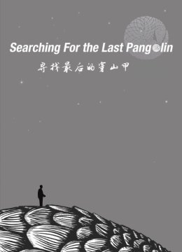 寻找最后的穿山甲