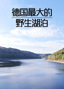 德国最大的野生湖泊
