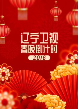 辽宁卫视春晚倒计时2016