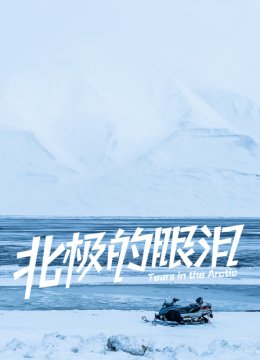 北极的眼泪