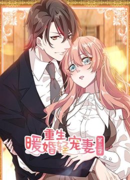 重生暖婚轻宠妻第3季