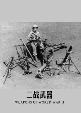 二战武器
