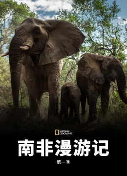 南非漫游记第1季