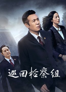 巡回检察组DVD版